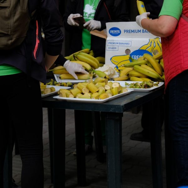 59589543_10157584261396435_5452159497042657280_o